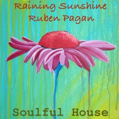 DJ Ruben Pagan - Raining Sunsine In The 305 - Soulful House Mix (2010 Throwback)