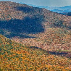 This Mild Equator (with Brian Eno)