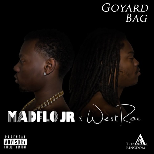 Goyard Bag Juice Wrld IUCN Water