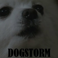 Dogstorm