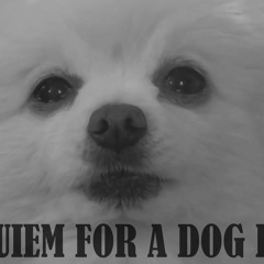 Borquiem for a dog dream