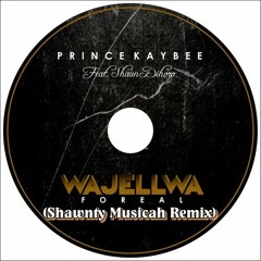 Prince kaybee Feat Shaun Dihoro_Wajellwa(Shawnty Musicah Remix)