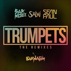 Sak Noel & Salvi Ft. Sean Paul - Trumpets (Und3rsound Remix)