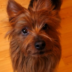 Esty Balti Jaamas 2016 - 12 - 04