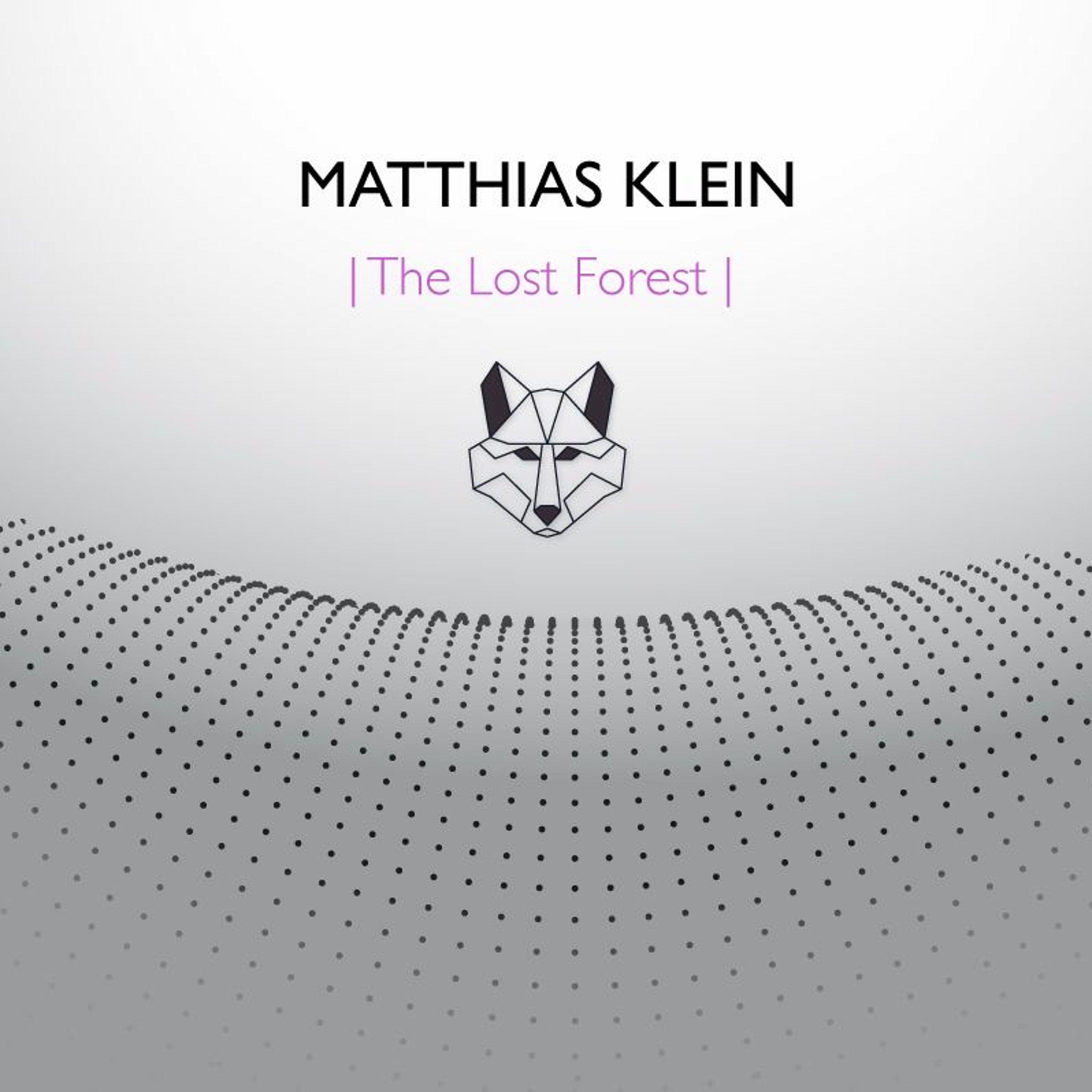 Matthias Klein