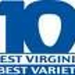 V100 Charleston - Steve Bishop - Spring 1981