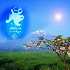 "ربيع الكون" جديد يحيى بصل في ذكرى المولد