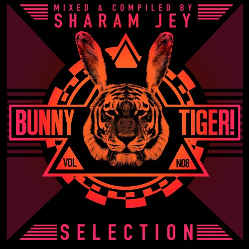 Sharam Jey & Kameo - What You Say! (Preview)// BTLP008 [OUT NOW]