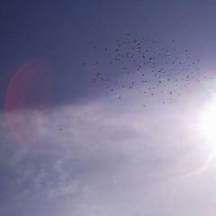 Méditation pour harpe et guitare