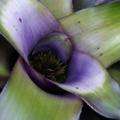 Electric meditation 1