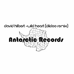 David Hilbert - Wild Heart (DiidoO Remix)