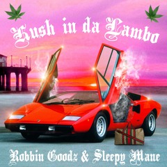 KUSH IN DA LAMBO - ROBBIN GOODZ & SLEEPY MANE
