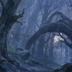 The Forest at Night