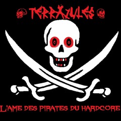 L'âme Des Pirates Du Hardcore