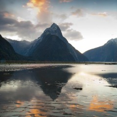 Reflections