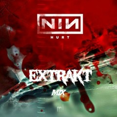 Hurt (Nine Inch Nails) [FREE DL in Description]