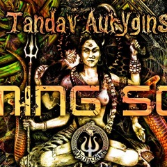 Nioka - Whispering Jungle (Out Now on VA Tandav Aurygins on Shunyata Records)