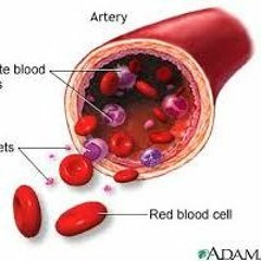HAKIKAT SEBUAH CINTA