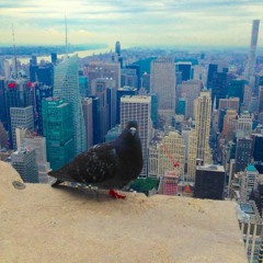 Dredg - Cartoon Showroom (acoustic cover)