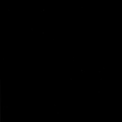 the woman from seminole