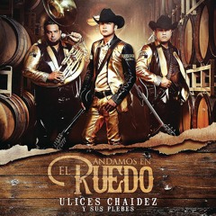 ANDAMOS EN EL RUEDO
