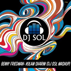 Benny Friedman- Kulam Sharim (DJ SOL Mashup)