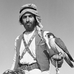 يا طير - خالد عبدالرحمن