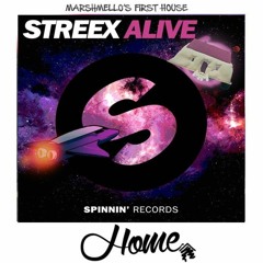 Streex vs marshmello - Alive at Home