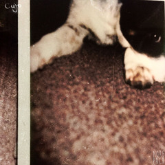 02 Cujo - Mf Po(prod. Iedekay)