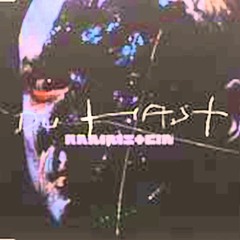 Rammstein - Du Hast (Mike Mora Remix)