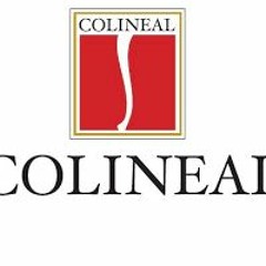 Semana De Rebajas Y Regalos Colineal