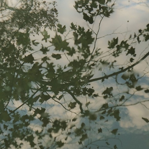 Food For Sparrows - Recovery - Track 6 - Hope
