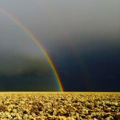 sleeping on the ceiling