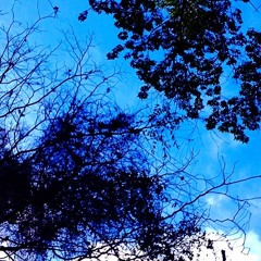 Mar&e (Renato Giraldi e Pepe Lui)