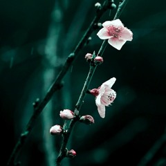 FKA Twigs - Video Girl (Vigilante Florist Remix)