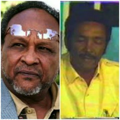 كمال الجزولي متحدثاً عن علي المك