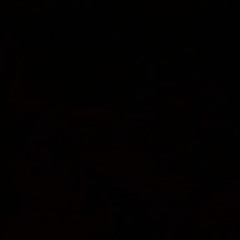 2+BAR20