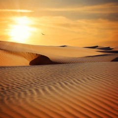 Peruvian desert theme