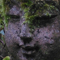 37 Practices - Verse 12-17