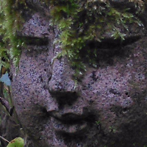 37 Practices - Verse 12-17