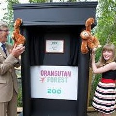 RTÉjr Culture and Arts for Kid and Everyone, featuring RUTH BREEN