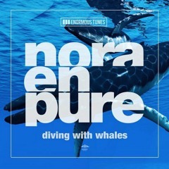 Nora en Pure - Diving With Whales