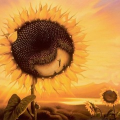 A Folk Song Without Words