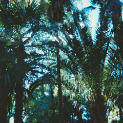 Spencer Clark - Study For The World Of Shells