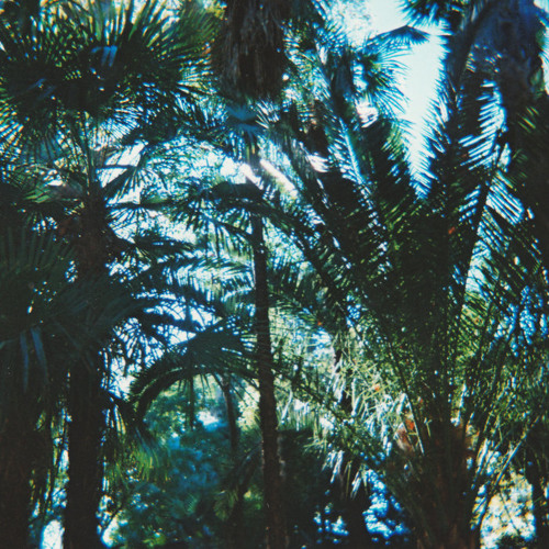 Spencer Clark - Study For The World Of Shells