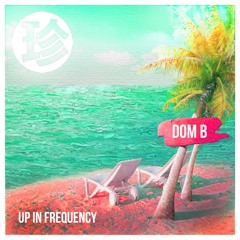 Dom B - Up In Frequency