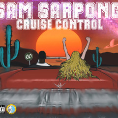 THE GO SIGN (CRUISE CONTROL)