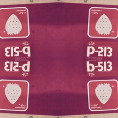 b-513 is Back (dubLuv Remix)