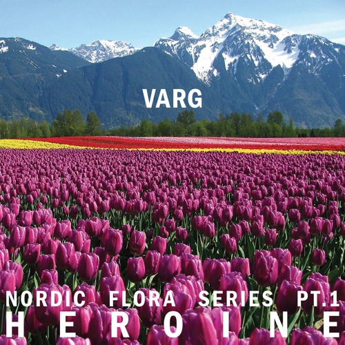 Varg - Heroine I (CK)