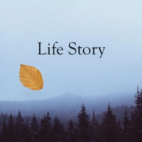 Life Story (Hossein Alizadeh's Tar)